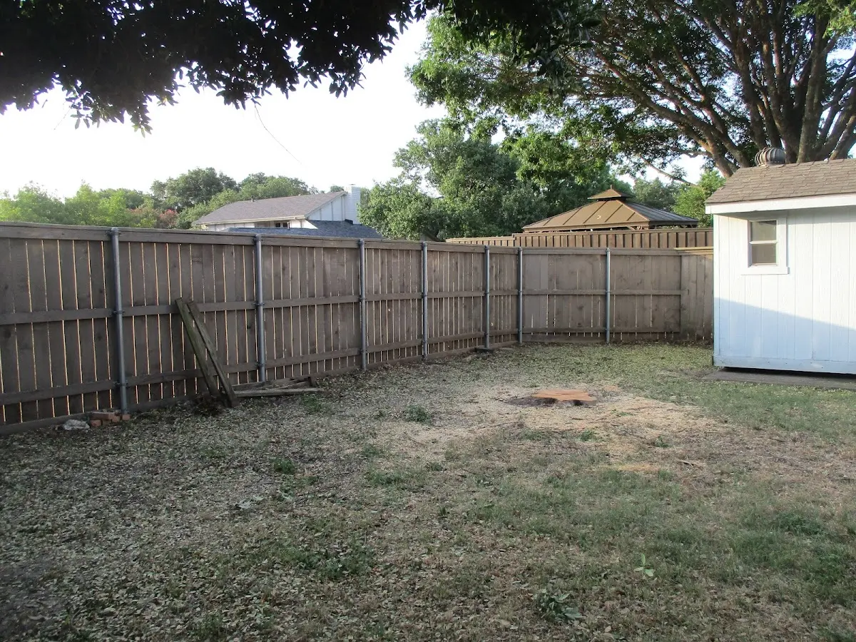 Cleared yard after professional tree removal in Hoboken