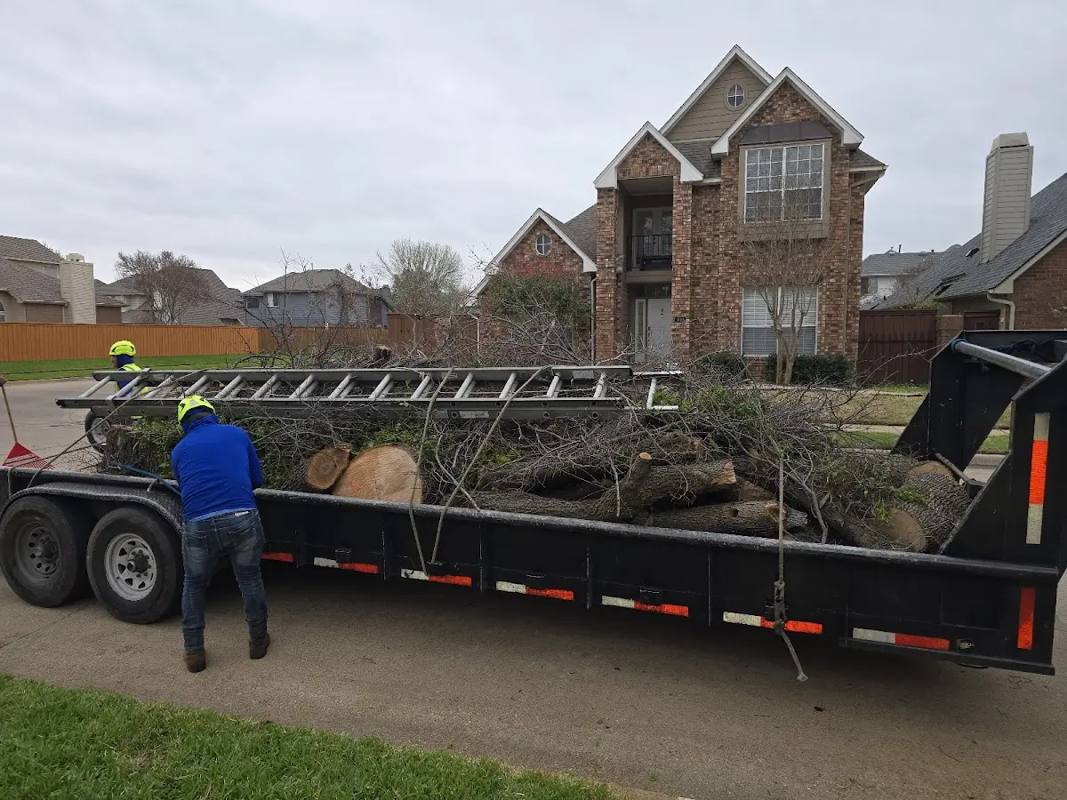 Expert Tree Fertilization with proper safety equipment in Hoboken